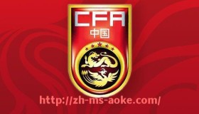 澳客足彩-法甲2024赛季总结与关键赛事回顾分析报告