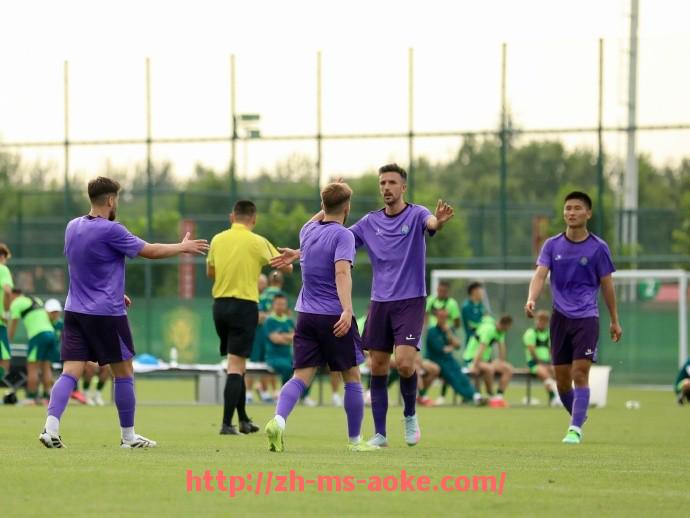 澳客足彩-法甲2024-2025赛季全方位战术分析及球队表现解读