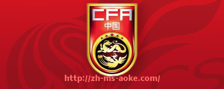 澳客足彩-法甲2024赛季总结与关键赛事回顾分析报告